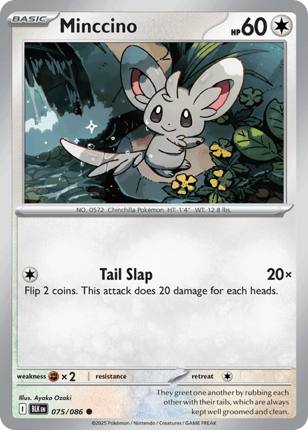 Minccino - Black Bolt - 75/86 (Poke Ball Reverse Holo)