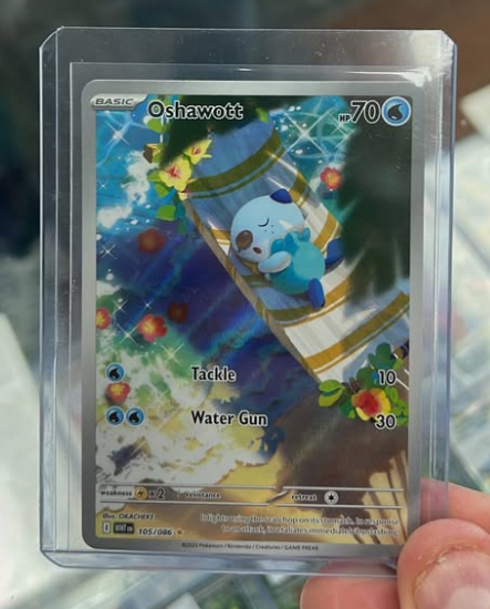 The full-art Illustration Rare Oshawott card from the Pokémon Black & White Flare set, held in a protective sleeve.