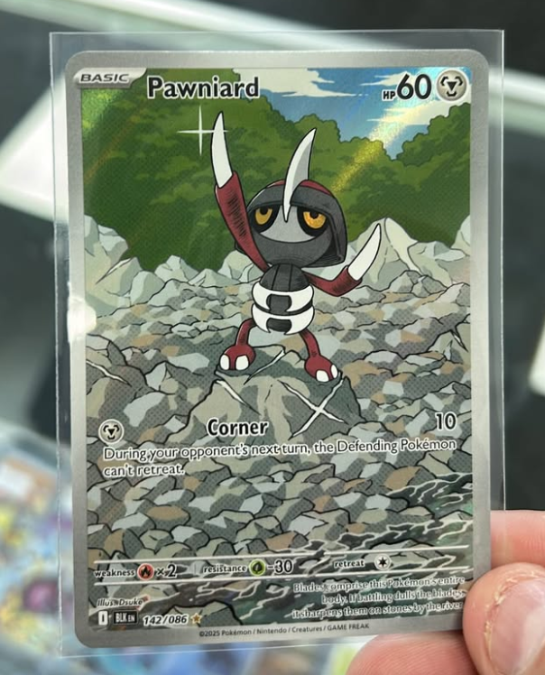 The full-art Illustration Rare Pawniard card from the Pokémon Black & White Flare set, held in a protective sleeve.