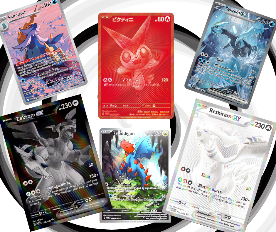 A collage of Pokémon ex cards from the Black Bolt and White Flare sets, including Zekrom ex, Reshiram ex, Kyurem ex, Samurott ex, and Druddigon.