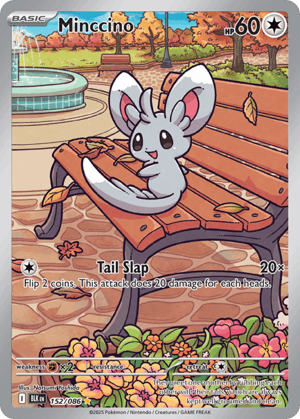 Minccino - Black Bolt - 152/86