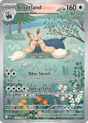 Stoutland - White Flare - 156/086