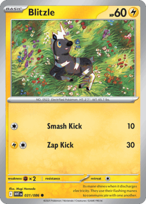 Blitzle - White Flare - 031/086 (Poke Ball Reverse Holo)