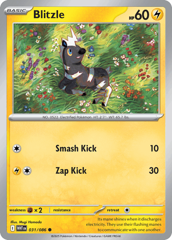 Blitzle - White Flare - 031/086 (Poke Ball Reverse Holo)