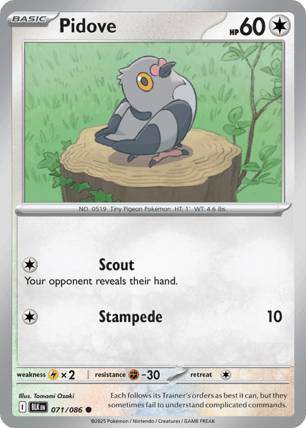 Pidove - Black Bolt - 071/086 (Master Ball Reverse Holo)